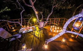 Tribe Yala - Luxury Camping